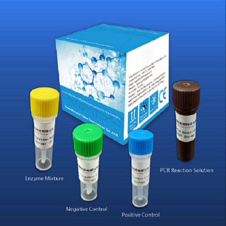 Reagent Diagnostic Test Kits YeCovid-2019 Inoenderana Neiyo chaiyo-nguva Pcr Platform